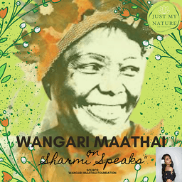 Photo of Wangari Maathai (Nobel Peace Prize Laureate & Environmentalist)
